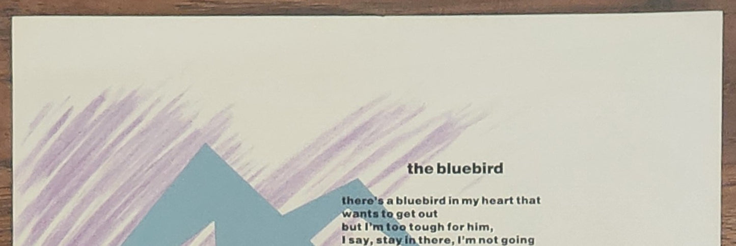 The Bluebird Broadside by Charles Bukowski