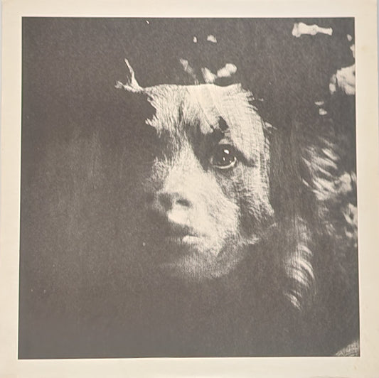 Extremely Rare Vinyl LP: Poetry – Charles Bukowski Steve Richmon (1968)