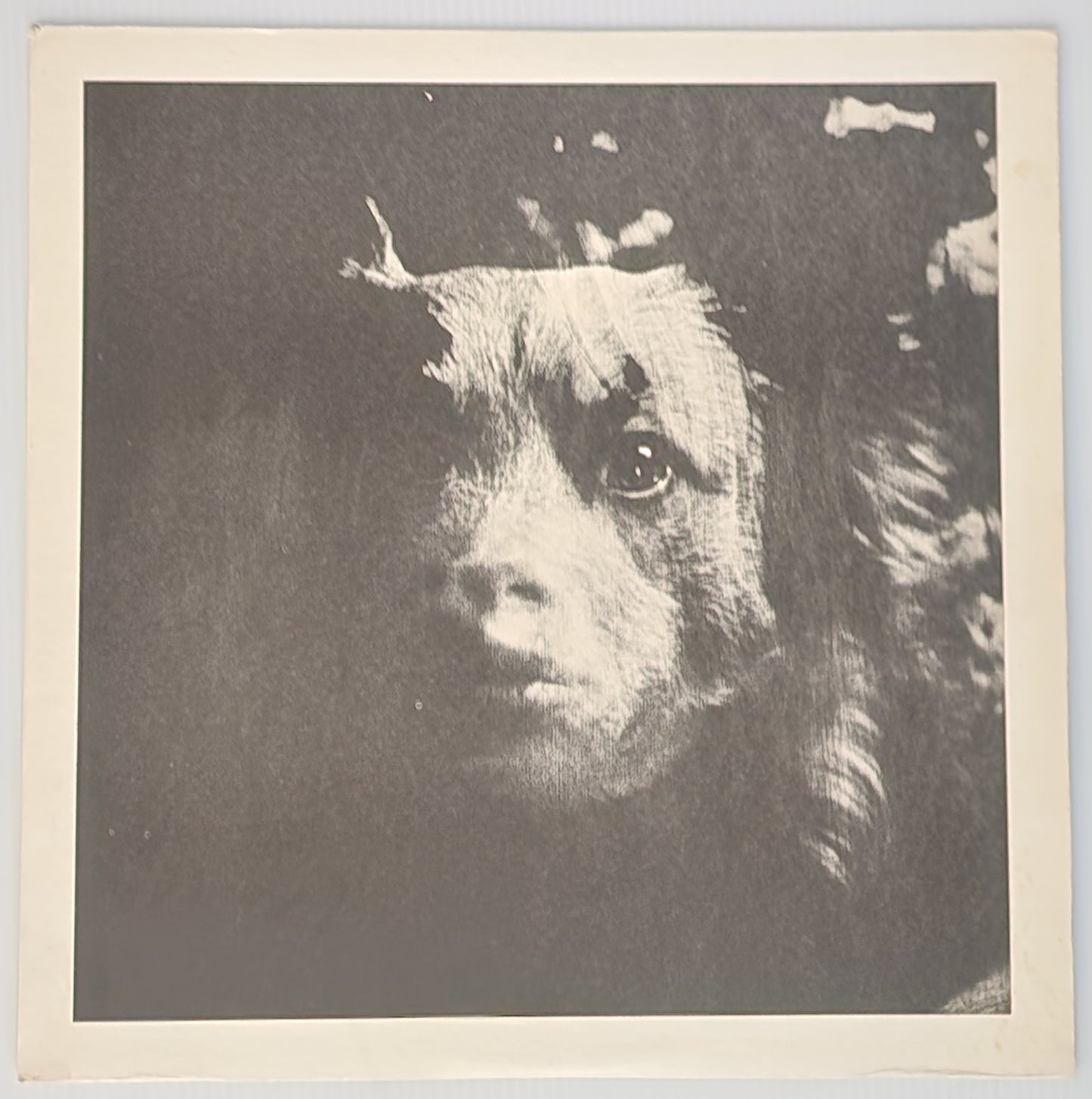 Extremely Rare Vinyl LP: Poetry – Charles Bukowski Steve Richmon (1968)