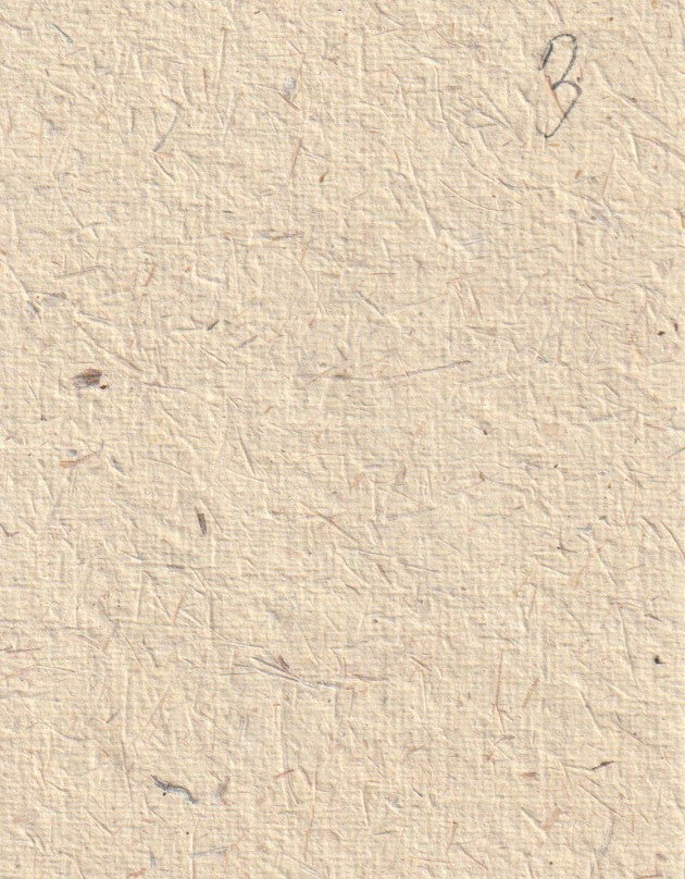 I Saw a Tramp Last Night – Variant Hand-Numbered 3