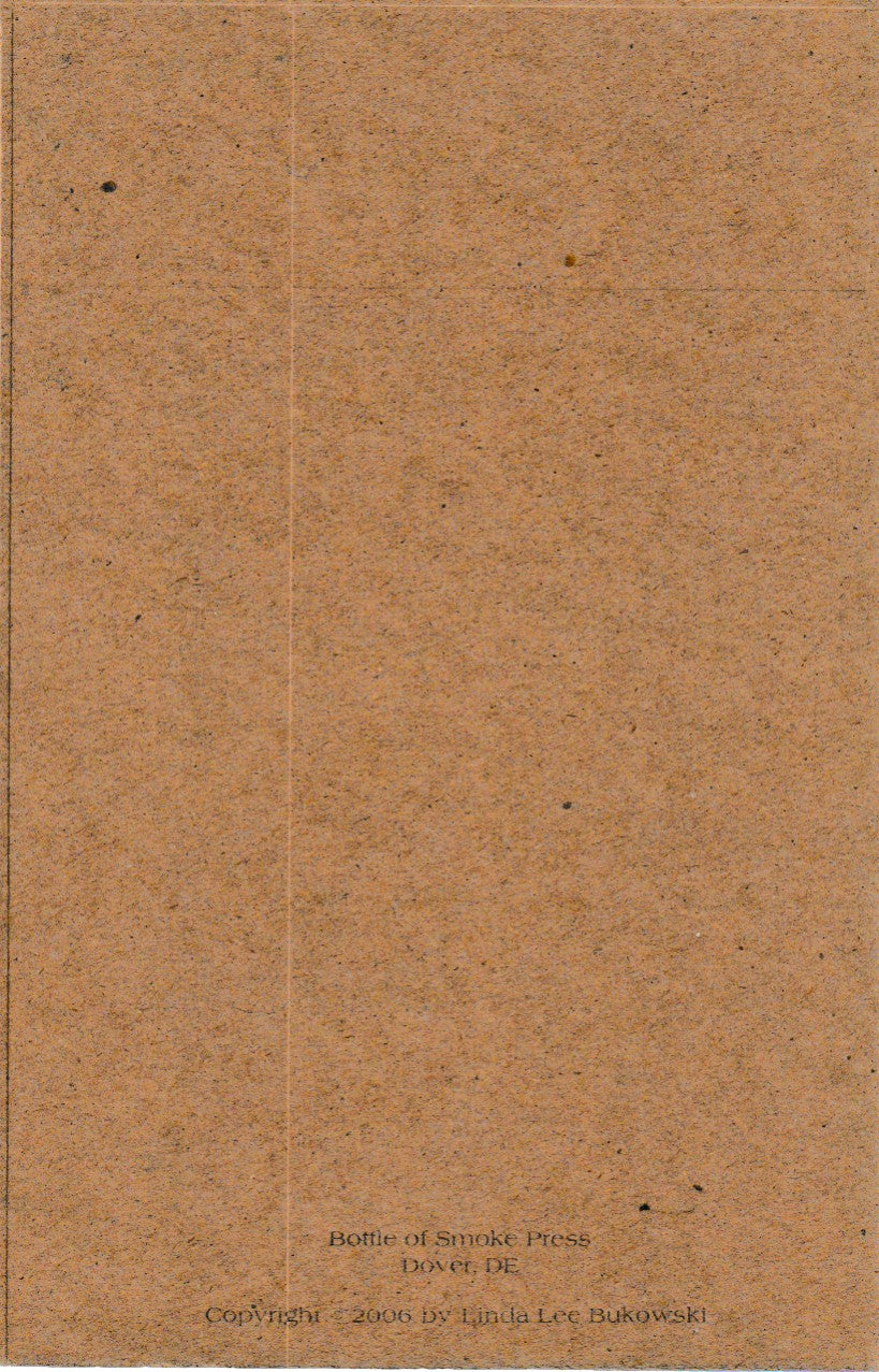 Advice for Some Young Man in the Year 2064 A.D. – Cardboard Variant (2006)