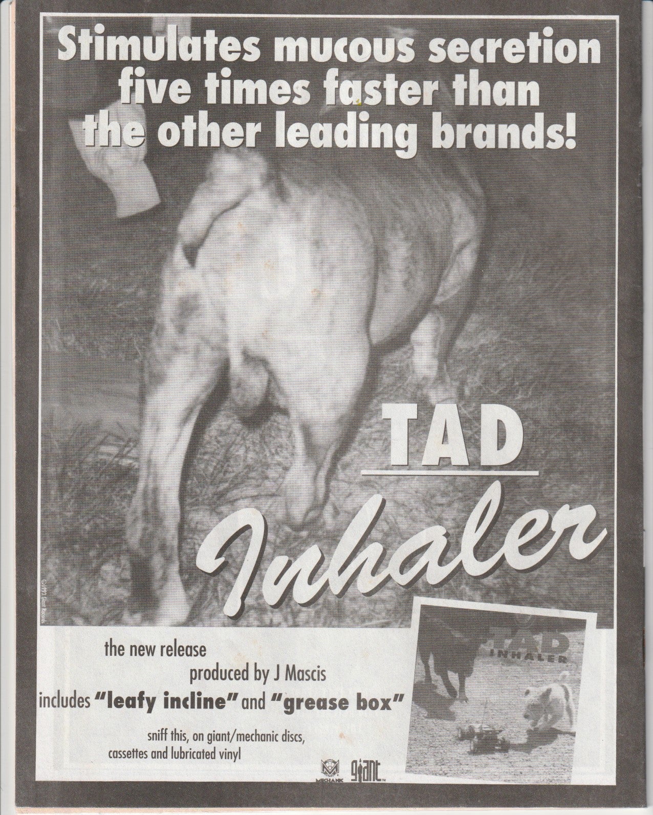 Half-Truth 16 -- Musings By Charles Bukowski (1993)