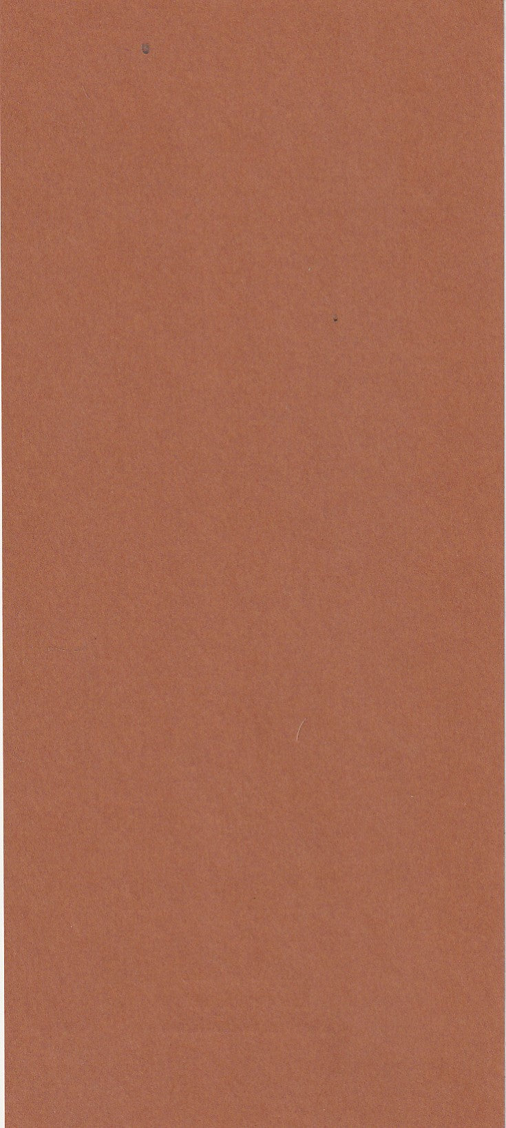 Waste – Brown Variant (1993)