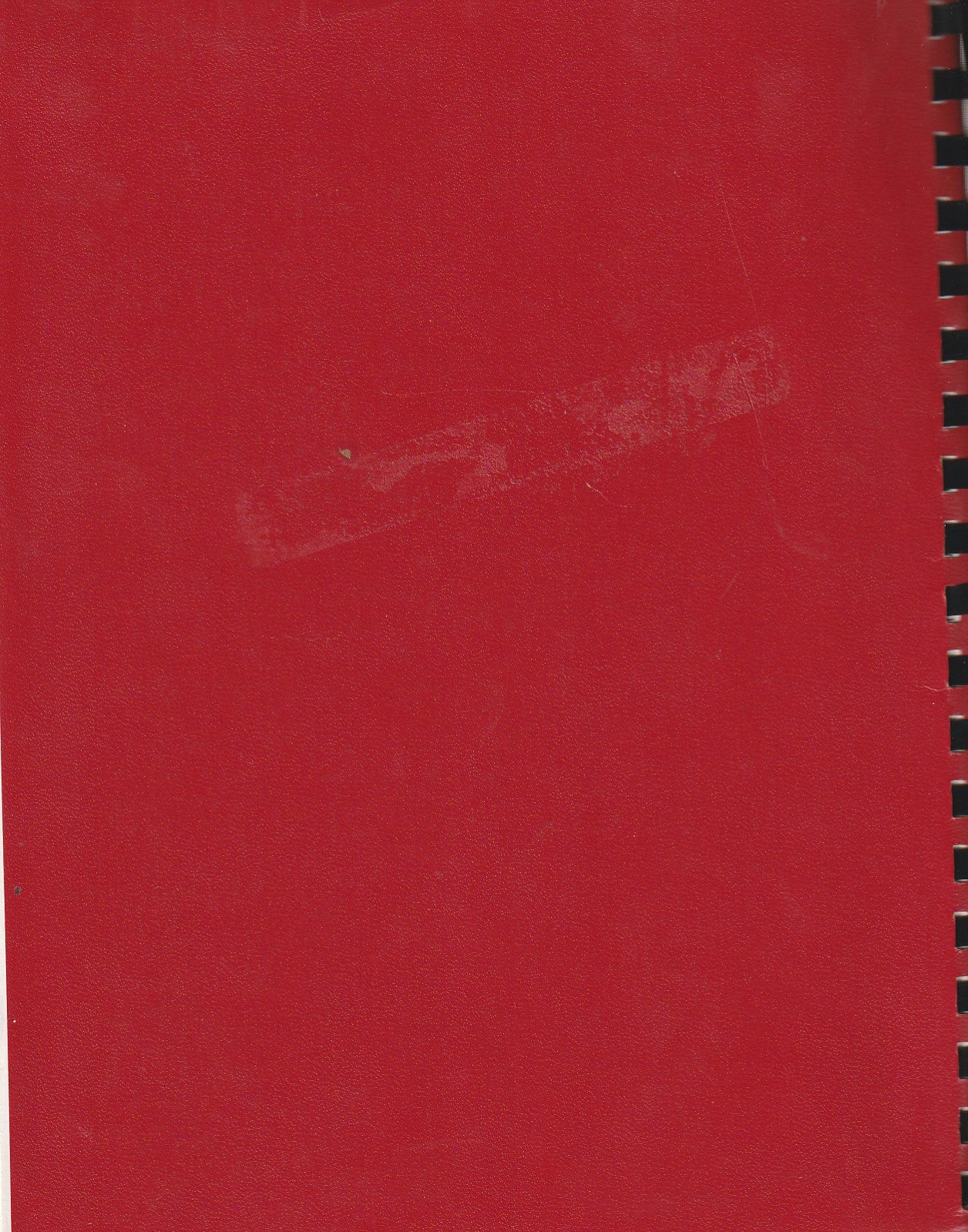 Beerspit Night and Cursing: Advanced Review Copy