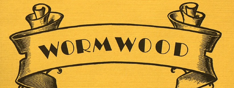 The Professor and the Poet: Charles Bukowski and Wormwood Review