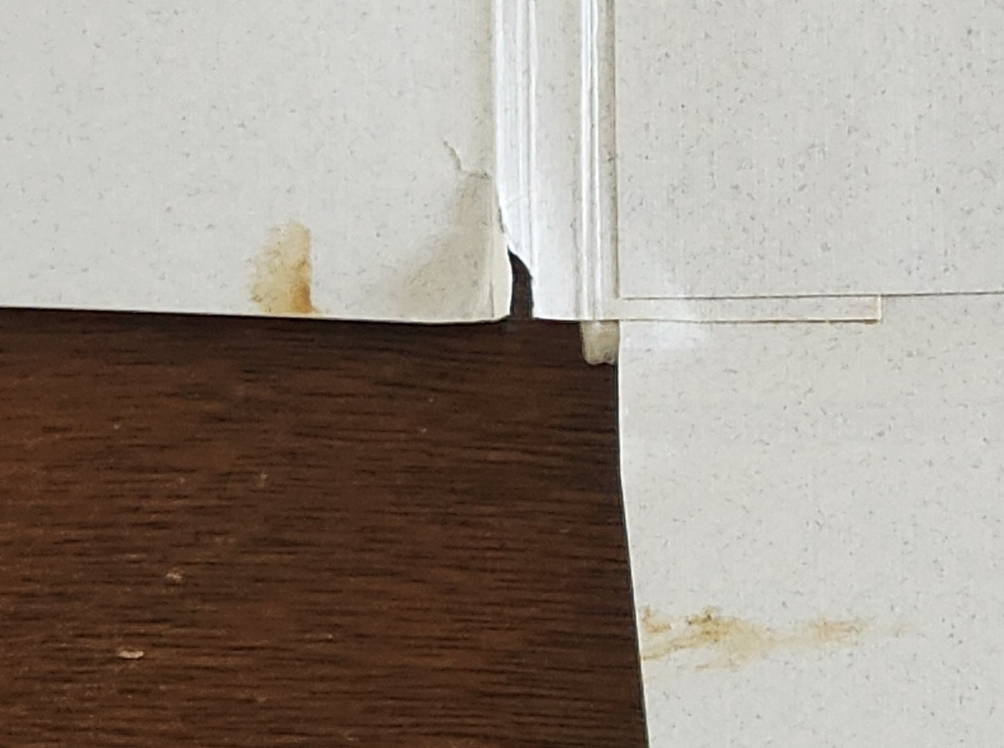 The Iris Prints: Copy J of 26 Copies Signed by Charles Bukowski