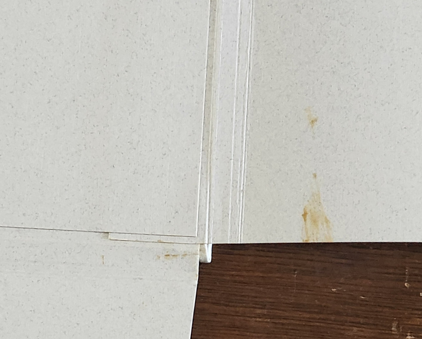 The Iris Prints: Copy J of 26 Copies Signed by Charles Bukowski