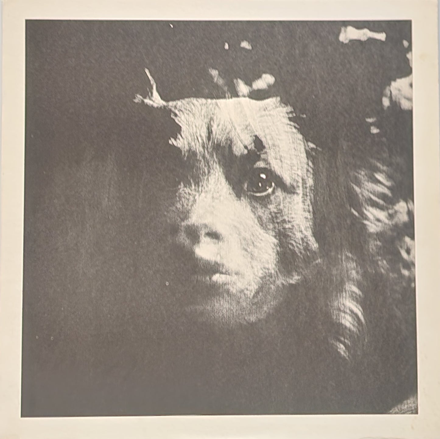 Extremely Rare Vinyl LP: Poetry – Charles Bukowski Steve Richmon (1968)