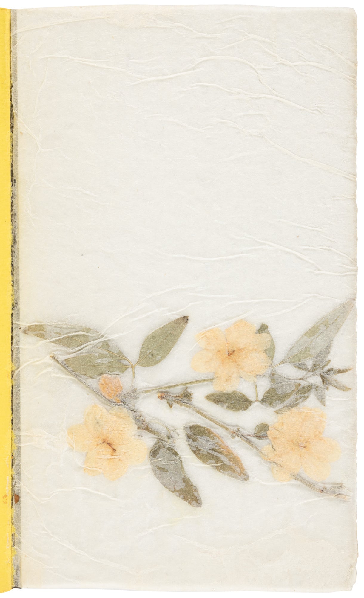 Unique Copy of It Catches My Heart in Its Hands: Signed Abstract Drawing, Dedication to Jon Webb with Drawing and Pressed Flowers Page