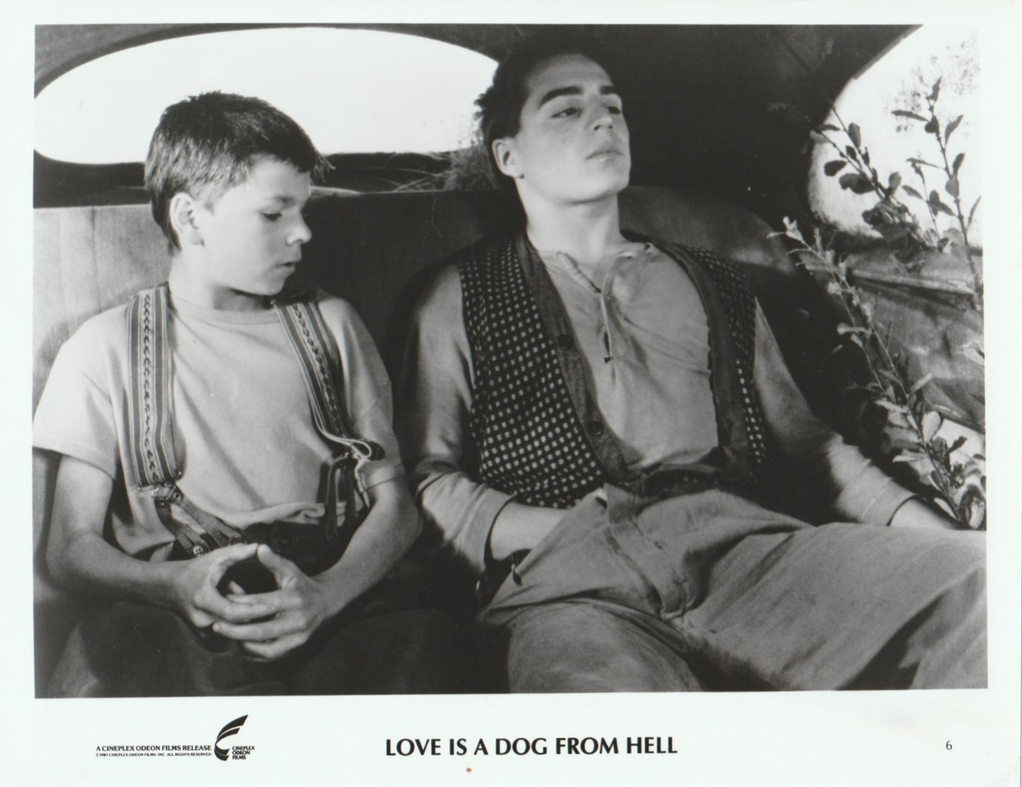 Love Is a Dog From Hell (Crazy Love) Film Press Kit