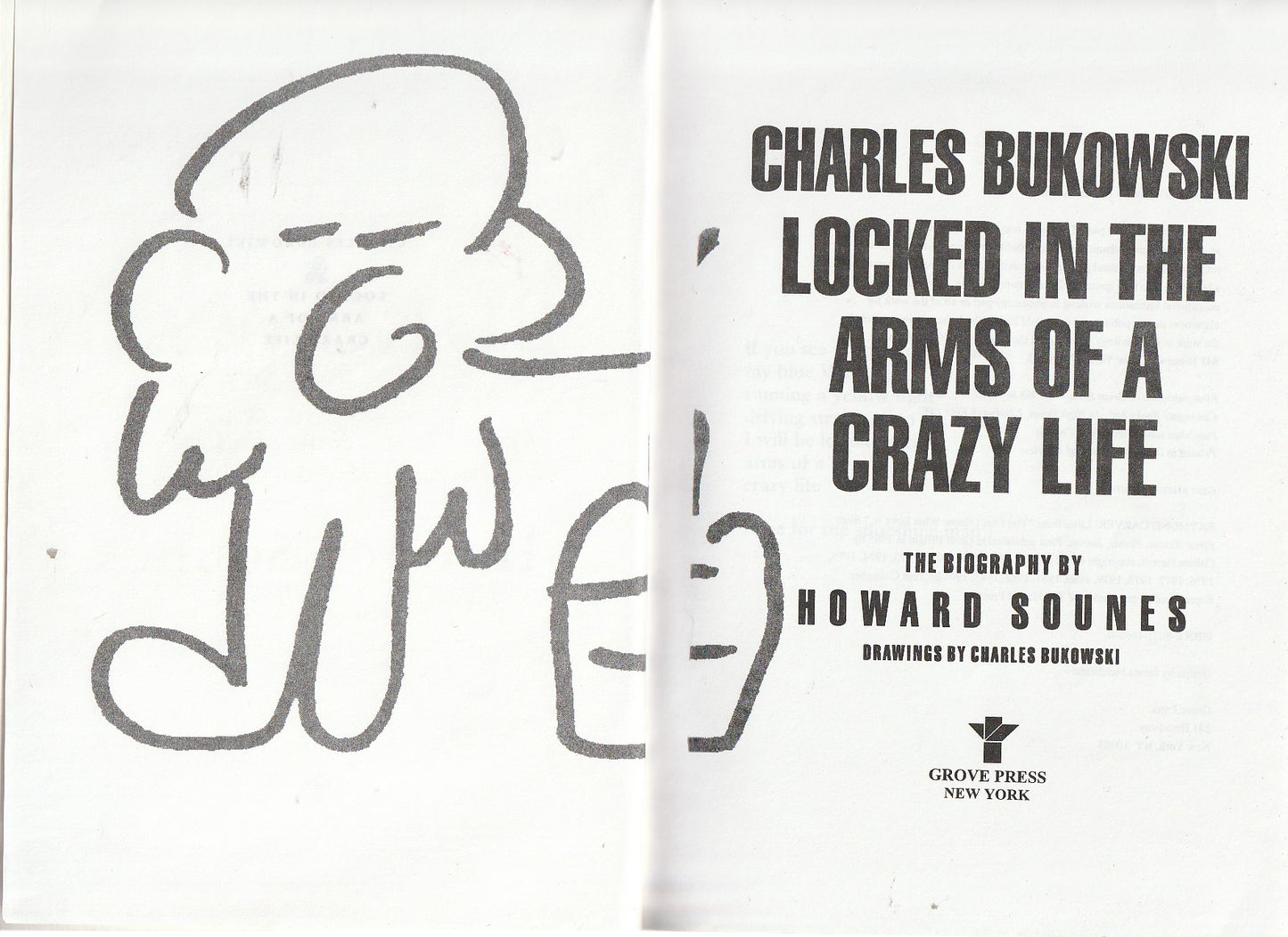 Uncorrected Proof: Locked in the Arms of a Crazy Life by Howard Sounes