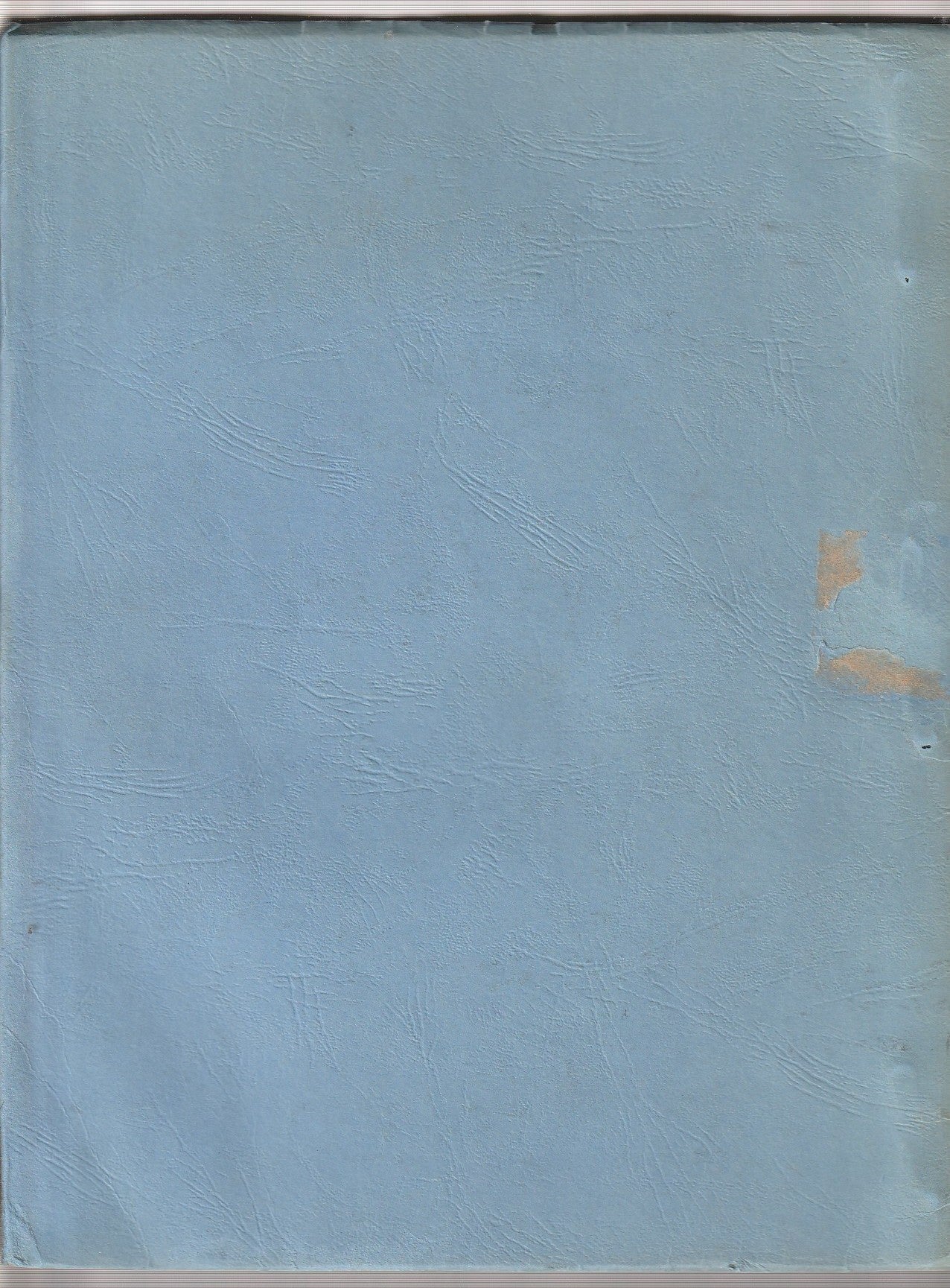 Post Office Screenplay Signed by Bukowski & Dan Carpenter w/ Signed Letter